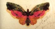 Albert Bierstadt Butterfly china oil painting artist